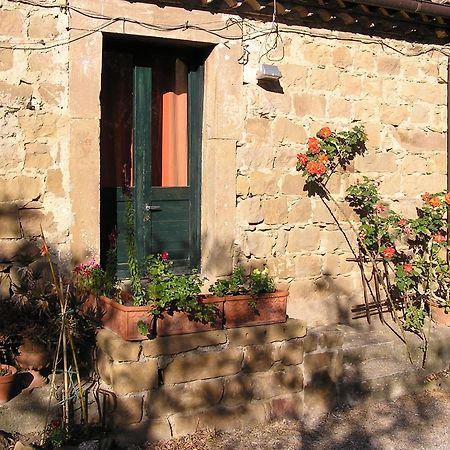 Casa Migliaca Villa Pettineo Rom bilde