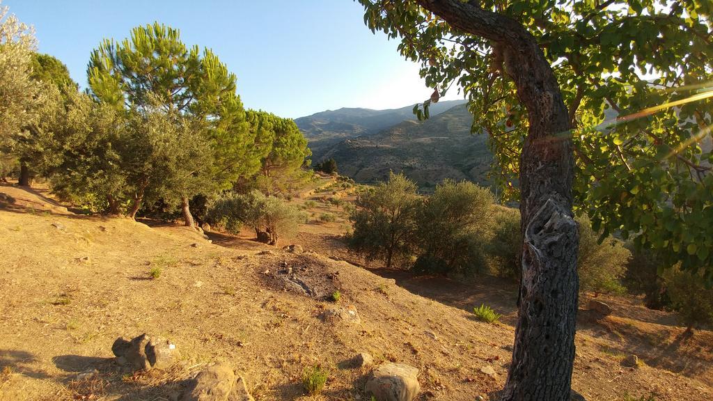 Casa Migliaca Villa Pettineo Eksteriør bilde