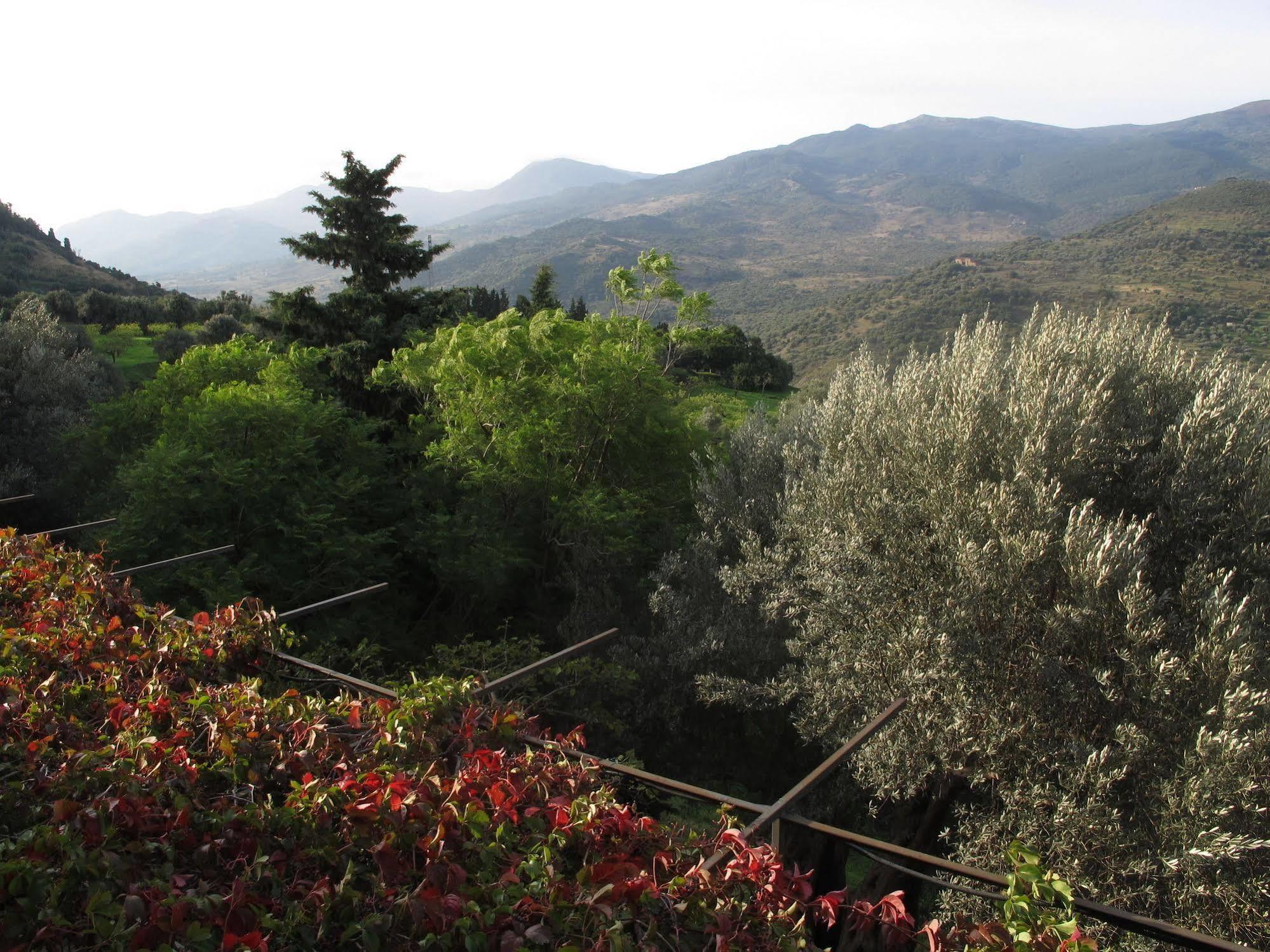 Casa Migliaca Villa Pettineo Eksteriør bilde